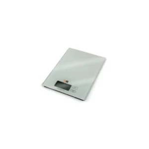 BASCULA ELECTRÓNICA AG