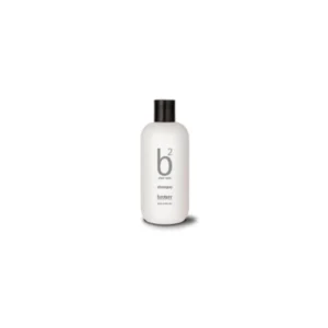 CHAMPÚ SILVER COLOR 250 ML. BROAER