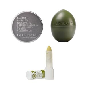 PROTECTOR LABIAL